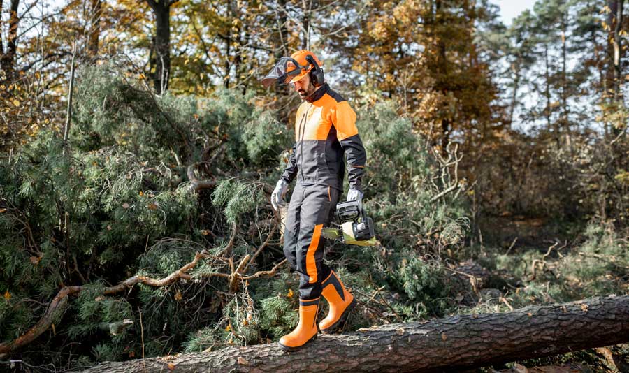 Tree Felling 360 Tree Services Northampton